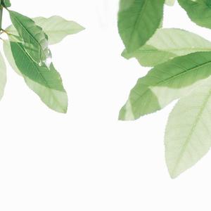 🔞🍌进去里❌❌❌蘑菇视频
