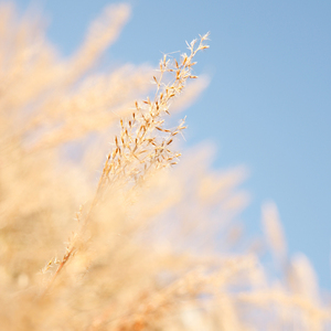 🔞🍌进去里❌❌❌蘑菇视频
