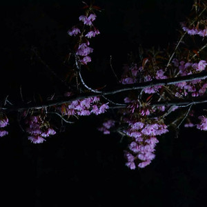 🔞🍌进去里❌❌❌蘑菇视频
